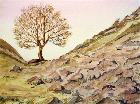 The Lone Sentry-Sycamore Gap. Painting by John Cox - Pixels