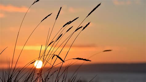 4k new full hd wallpaper (3840x2160) - Coolwallpapers.me!