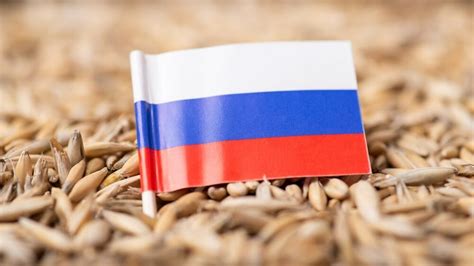 Россельхознадзор и АБПА обсудили вопросы поставок российского зерна ...