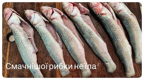 ТАКУ РИБКУ - можна їсти кожного дня! - YouTube