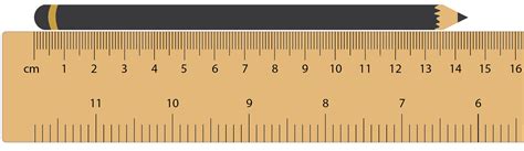 measurement  length worksheets library