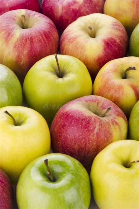 variety  fresh apples stock photo image  sweet natural