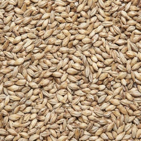 Солод Pilsener Malt от производителя Avangard Malz в магазине GreenGod ...