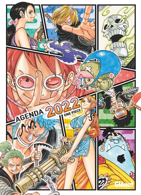 MAJ One Piece - Agenda 2022 - Steelbook Jeux Vidéo