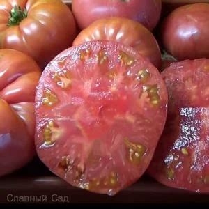 Томат Сладкая Свекла - Семена редких сортов помидор!