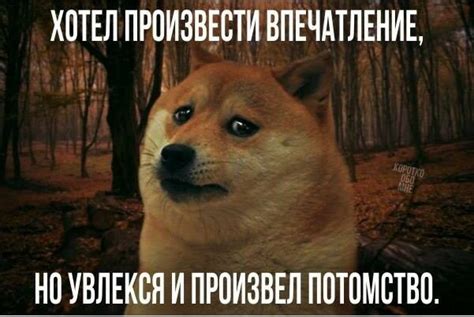 Веселі картинки: bytebuster463 — LiveJournal