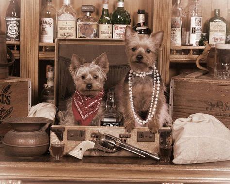 17 Old tyme photography ideas | old time photos, olds, photography
