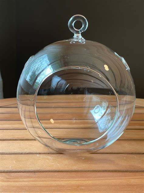 5 Glass Terrarium Globe - Etsy