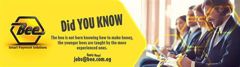 Bee | Agents - Careers