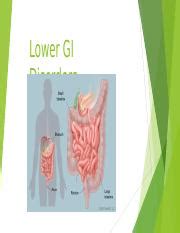 gi system  pptx  gi disorders functions