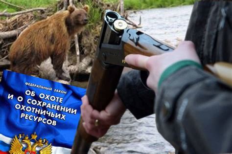 Журнал «Охота и охотничье хозяйство» (6) 2021 – Охота и охотничье хозяйство