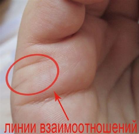 Линия Любви На Руке Фото С Расшифровкой — Фото Картинки