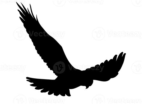 Silhouette Of the Hawk Flying in the Sky Looking Down On Transparent ...