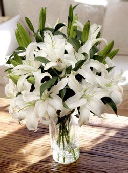Lily-Siberia - Flowers - A produces supplier, 20 years experiences in ...