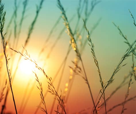 Easy Ways to Lower Your Electric Bill This Summer