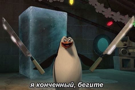 Pin by - on Мемы | Memes, Funny memes, Haha photos
