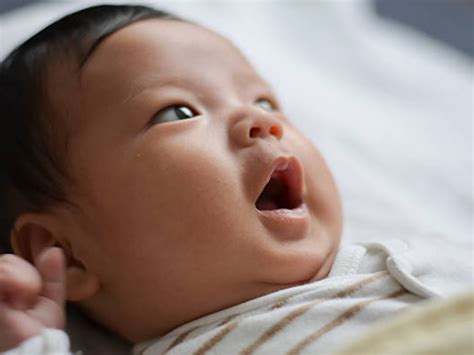 melatih stimulasi bahasa  newborn articles primaku