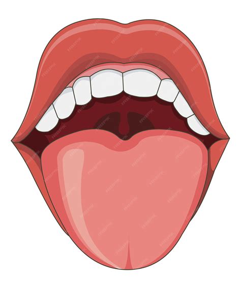Premium Vector | Tongue and teeth body part