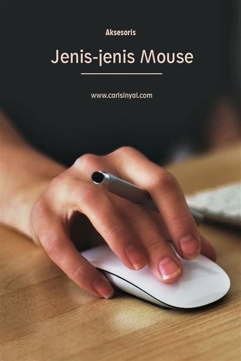 ketahui dulu jenis jenis mouse  sebelum membelinya pulpen