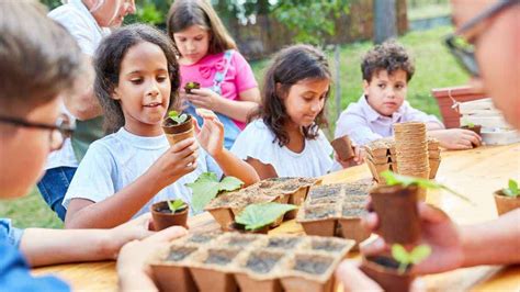Sustentabilidade E Crianças - Como ensinar sustentabilidade para as crianças?