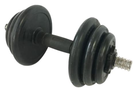 Гантель 4Play Power 2x7.5 kg - купить по цене 749 лей с доставкой по ...