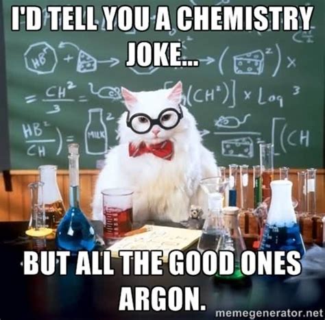 15 Top Science Cat Meme Images and Pictures | QuotesBae