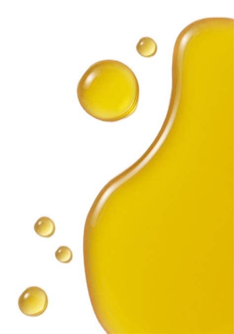 Production and sale of lecithin - Shiva Biochem Industries