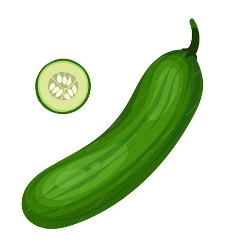 Premium Vector | Cucumber fruit vegetable vector