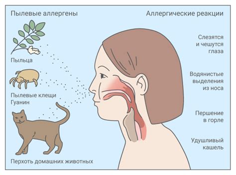 Аллергия на пыль: всё о симптомах и лечении