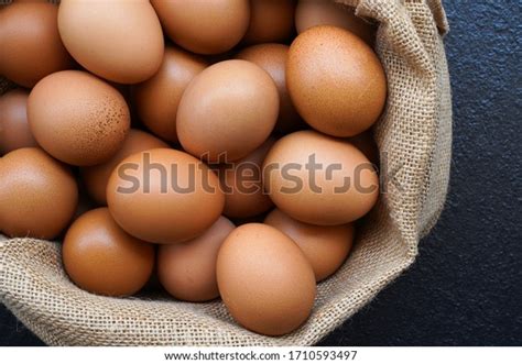 egg sack royalty  images stock  pictures shutterstock