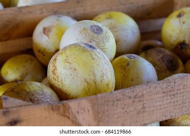 sprite melon images stock  vectors shutterstock