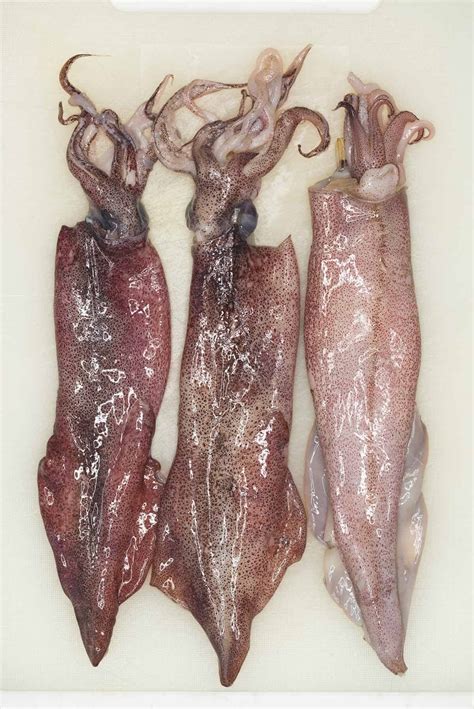 squid pusit recipes  nora
