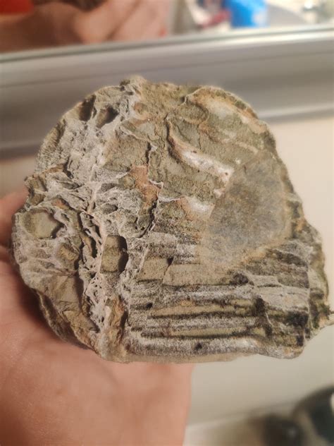 heavy rwhatsthisrock