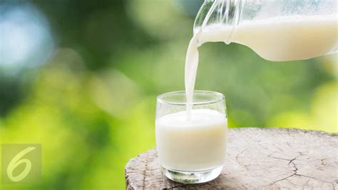 perbedaan susu pasteurisasi  uht global liputancom