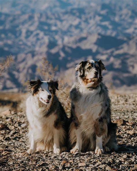 Jaz & Crystal (@vanwives) • Instagram photos and videos