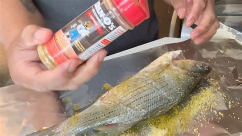 catch clean  cook mancing   masak youtube