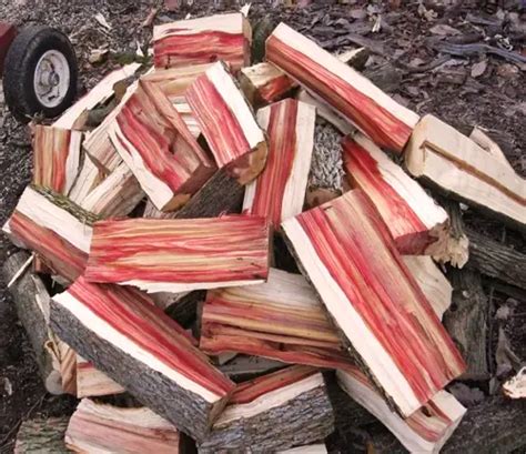 Box Elder Maple Wood – Forestry.com