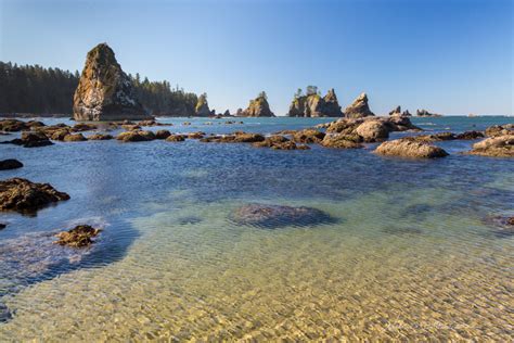 backpacking shi shi beach washington nick botner