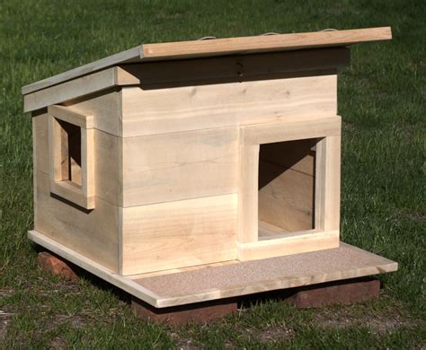 Best Outdoor Cat Shelter at Annabelle Parkhill blog