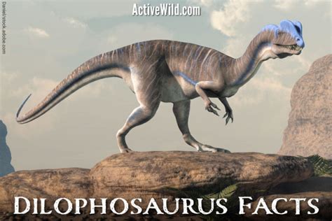 Dilophosaurus Facts: How Realistic Is Jurassic Park?