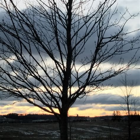 Eveestarr18 ️ Best adult photos at canidoit.org