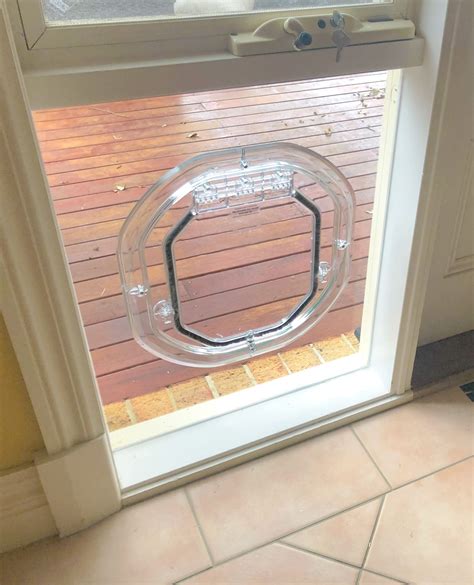 Pet Door in Glass Door Gallery - Melbourne Pet Doors