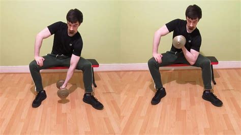 Dumbbell Concentration Curls (Seated and Standing)
