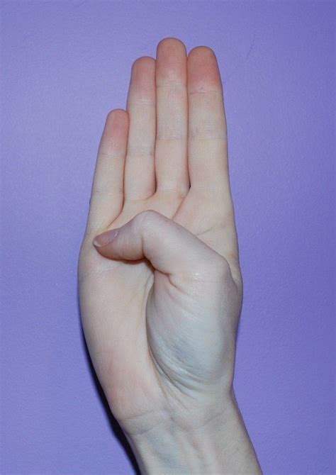 Pin by Khanh Linh Nguyen on Lưu nhanh in 2025 | Hand reference, Hand ...