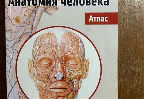 Атлас анатомии человека том 2 сплнахнология | Festima.Ru - Мониторинг ...