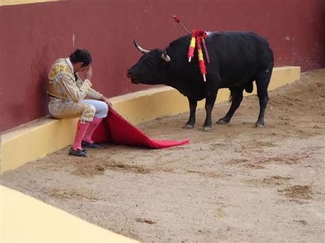 Facebook fooled by bullfighting photo