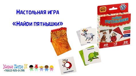 Настольная игра Найди пятнышки (ЛасИграс) - YouTube