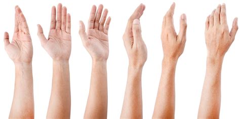 male  female hand comparison  lois lumpkin blog
