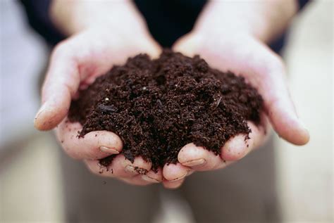 What Is Acidic Soil?