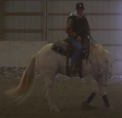 perlino breeding stallion standing in wy
